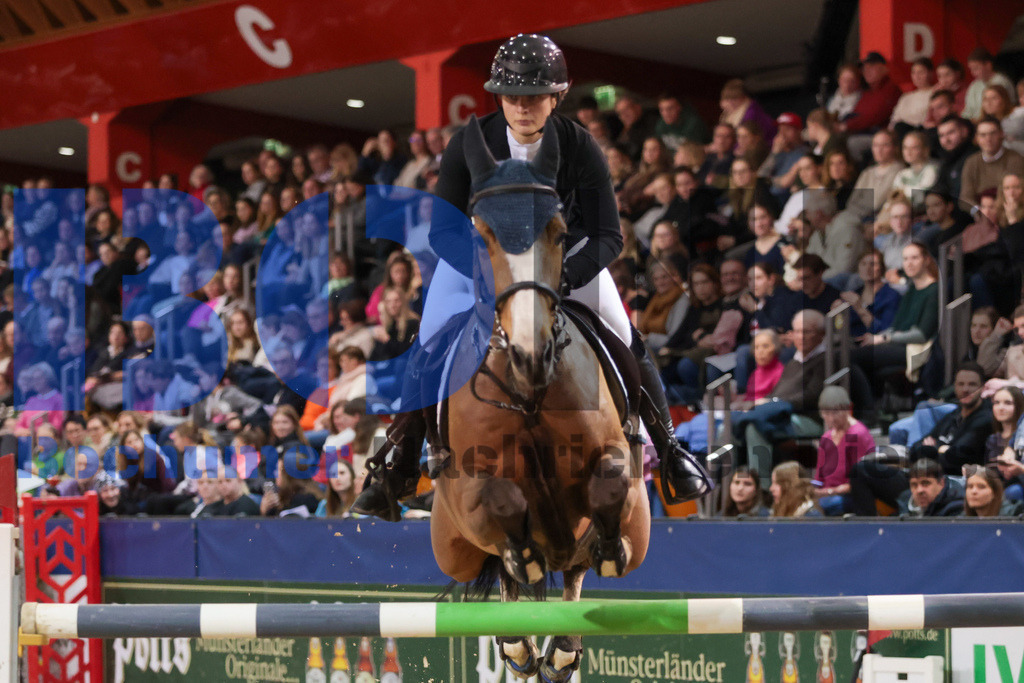 Agravis Cup 2024 - Championat von Muenster {date} -  | {headline}



(Foto: Sebastian Sendlak / BOND)

 - Realisiert mit Pictrs.com