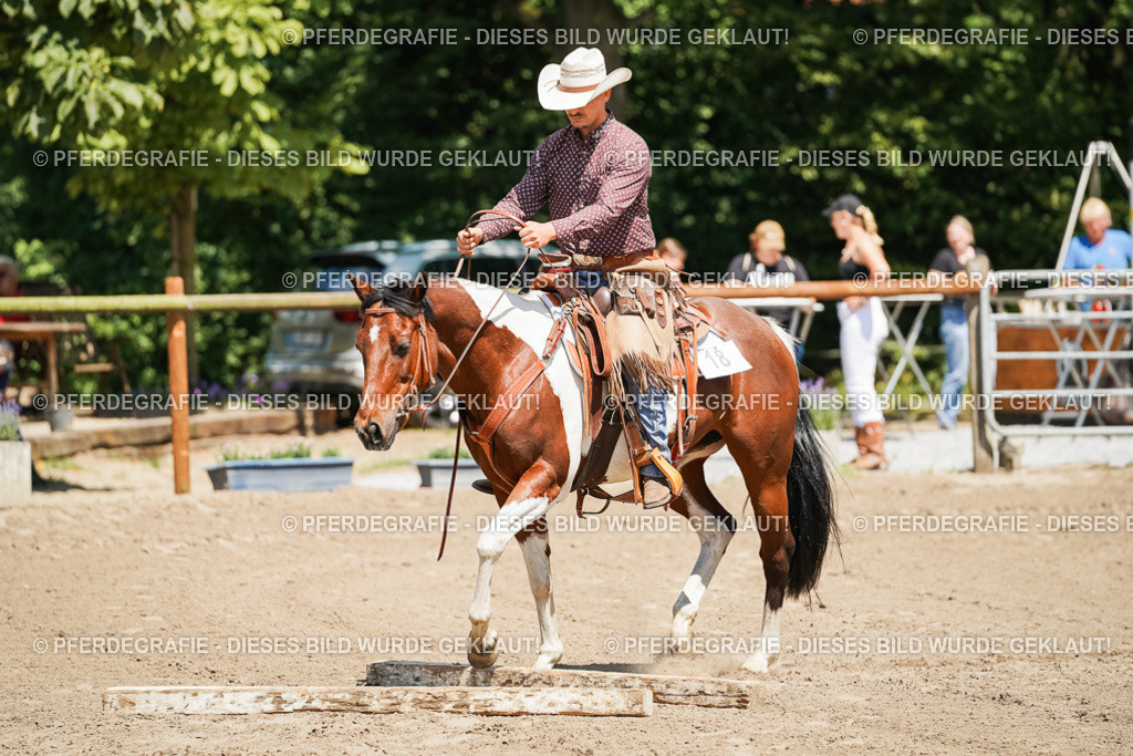 DSC07425 | Pferdegrafie