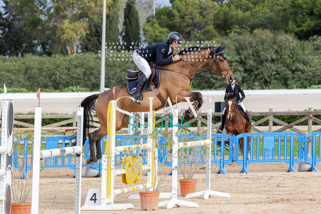 IMG_2528 | s-jay-photography - Realisiert mit Pictrs.com