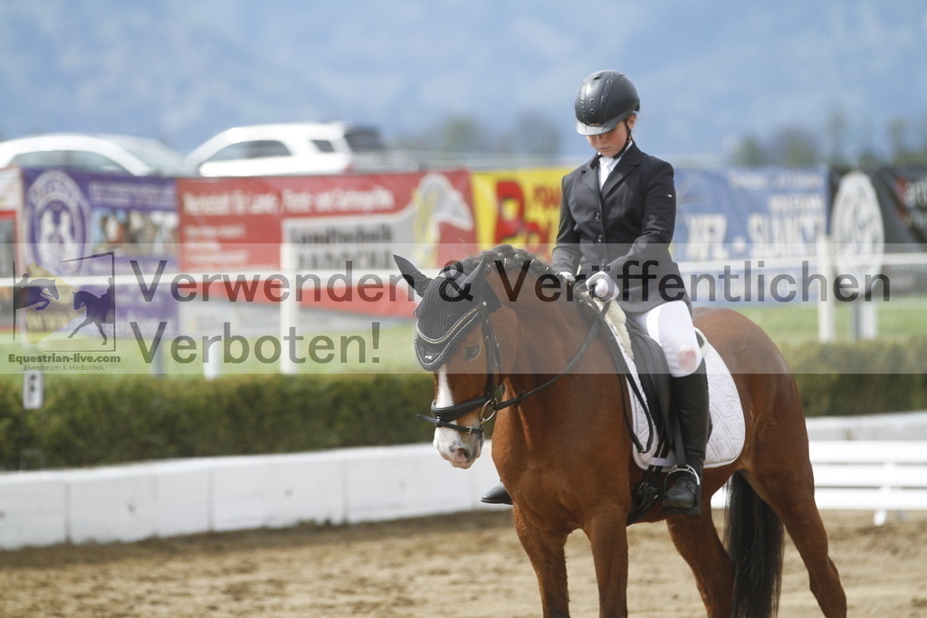 _MG_2849 | equestrian-live-com