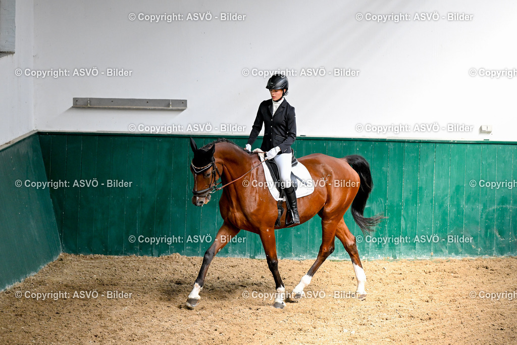 ASVÖ_ Reiten Bezirksmeisterschaft_ 24.08.2025-48 | 24.08.2025, AUT, ASVÖ, Reiten Bezirksmeisterschaft 2025Dressur und Springreiten©fodo.media / Harald Dostal - Realisiert mit Pictrs.com