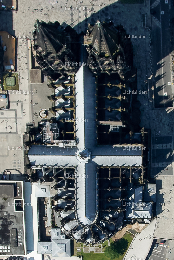 _DSC1102 | Jürgens Lichtbilder - Realisiert mit Pictrs.com