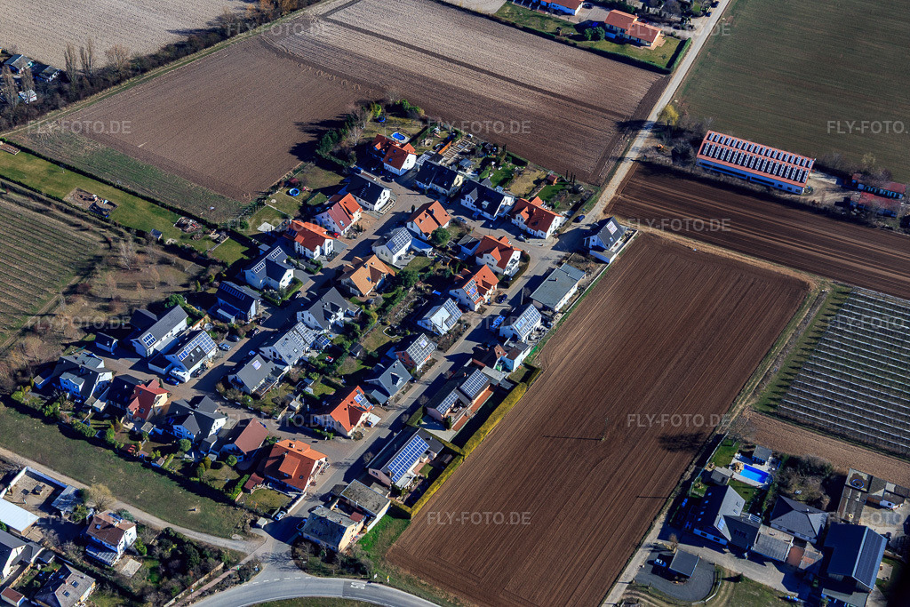 Luftbild: Neubaugebiet Römerweg in Gönnheim im Bundesland Rheinland-Pfalz in Deutschland. Foto: IMG_112808.jpg vom 27.02.2019 durch Werner Riehm/FLY-FOTO.de
