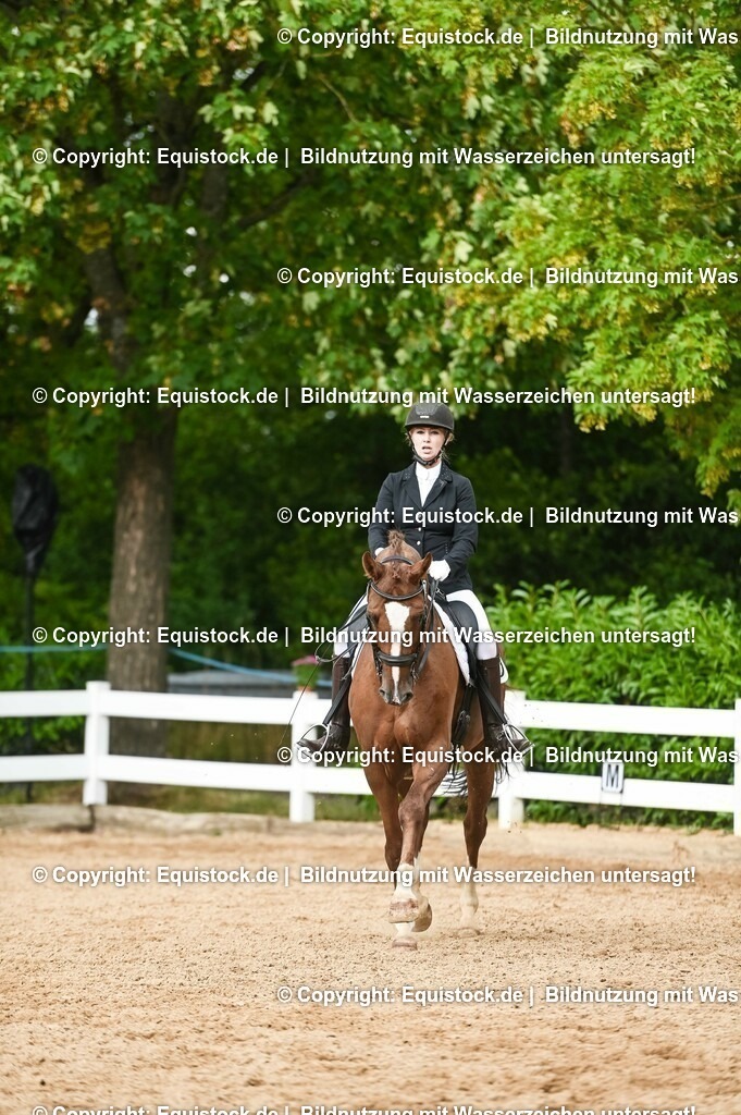 20230716_01_Dressurprüfung Kl.M_0535 | equistock
