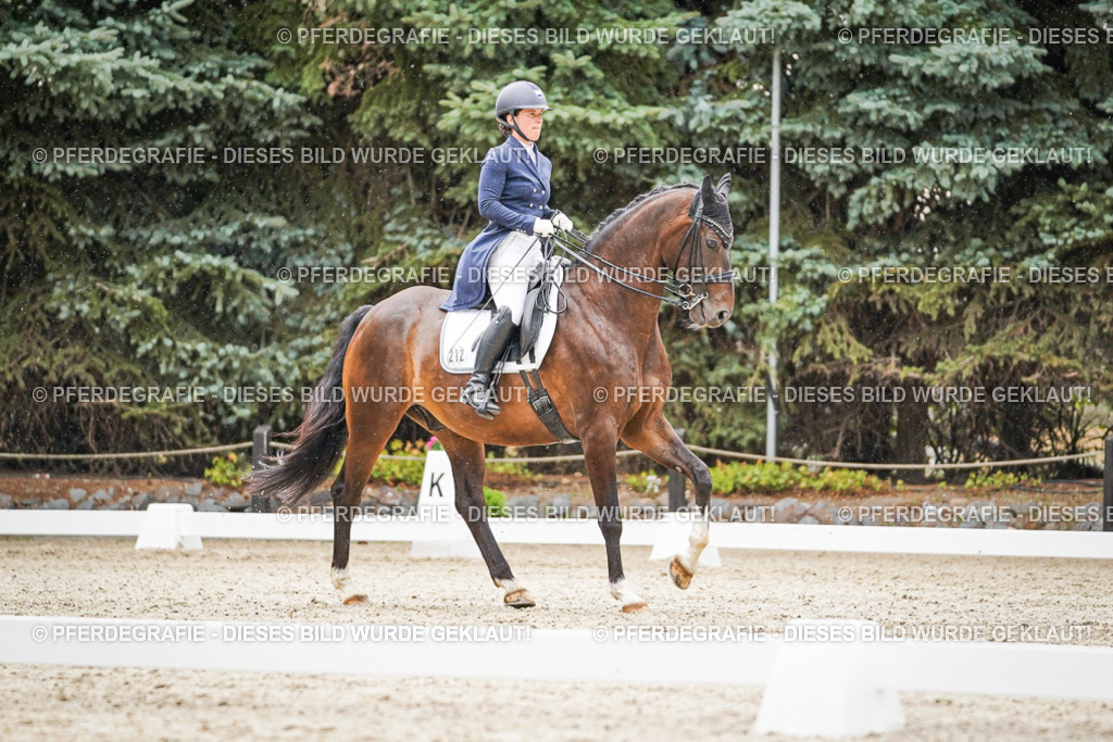 DSC07920 | Pferdegrafie