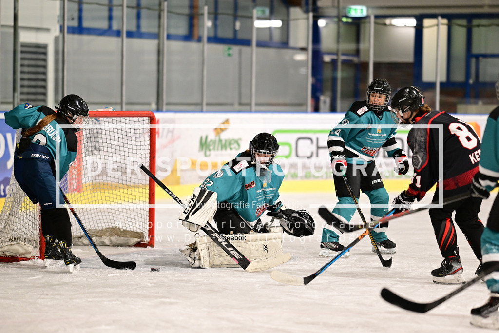 Eishockey I Frauen I Saison 2023-2024 I Testspiel I TuS Harsefeld Tigers - Crocodiles Hamburg I 05063 | Der Sportfotograf. - Realized with Pictrs.com
