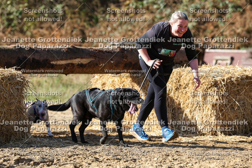 Dog Paparazzi - Strongdog 10-25-4650 | Dog Paparazzi Jeanette Grottendiek Fotografie & Videografie - Realisiert mit Pictrs.com
