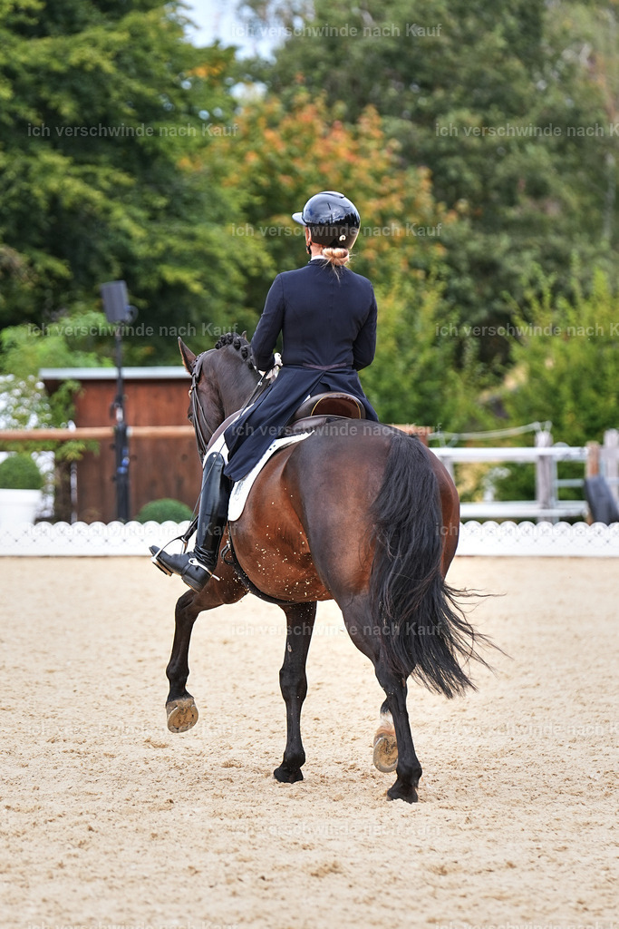 11-066-Dressur S___-Marixx-1646 | working equitationturnier fotograf videograf stoibphotography marixx film working equitation deutschland reitsport turnierfotografie eventfotografie equestrian events