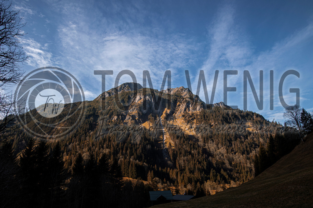 IMG_4477 | Fotos:
Tom Wenig
https://www.tomwenig.de - Realisiert mit Pictrs.com