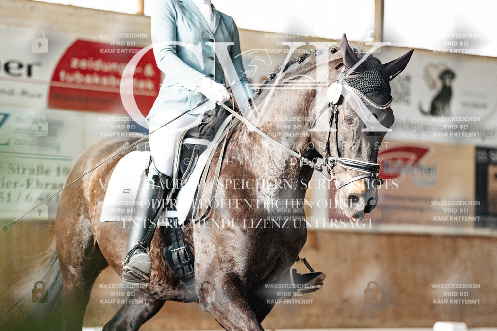CK903215 | Turnierfotografie Pferdefotografie Trier Rheinland-Pfalz Pferdesport Reitsport Tierfotografie Sportfotografie Pferdevideo Pferdevideografie Equestrianvideography equestrianphotography  - Realisiert mit Pictrs.com