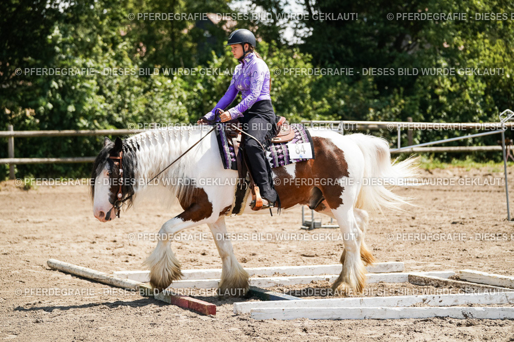 DSC07479 | Pferdegrafie