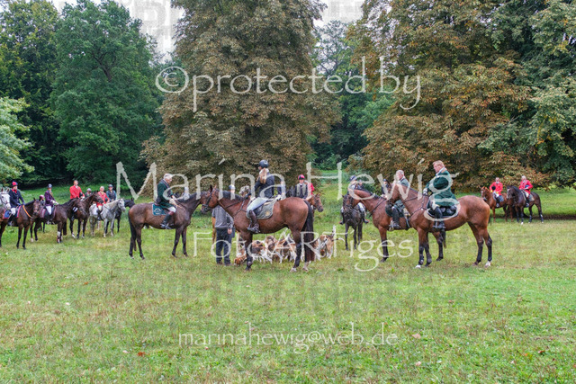 Jagd Perdoel_MarinaHewigDSCF3442 | Fotografie, FotoArt, PferdesportArt, Pferdesportfotografie, Landschaftsfotografie, Reisefotografie, Reise, Pferde - Realisiert mit Pictrs.com