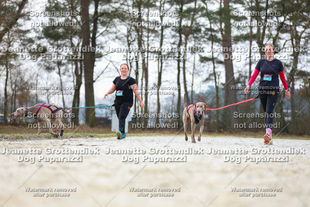 Dog Paparazzi - Strongdog North Mrz26-3927 | Dog Paparazzi Jeanette Grottendiek Fotografie & Videografie - Realisiert mit Pictrs.com