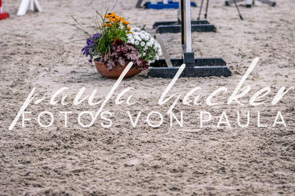 IMG_6003 | Erleben Sie dynamische Sport- und emotionale Tierfotografie in Süddeutschland mit Fotos von Paula. Spezialisiert auf Pferde- und Hundefotografie sowie Sportevents. Kontaktieren Sie mich für einzigartige und ausdrucksstarke Bilder Ihrer besonderen Momente.