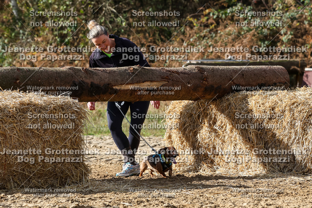 Dog Paparazzi - Strongdog 10-25-4968 | Dog Paparazzi Jeanette Grottendiek Fotografie & Videografie - Realisiert mit Pictrs.com