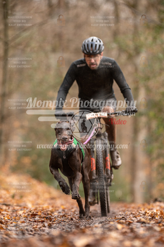 SPA_2023_DIM_Bike-6 | PayLife