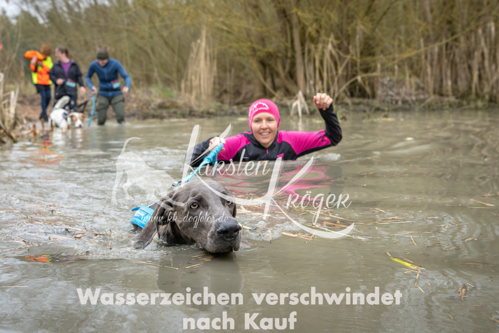 1353_ZZ93889 | kk-dogfotos