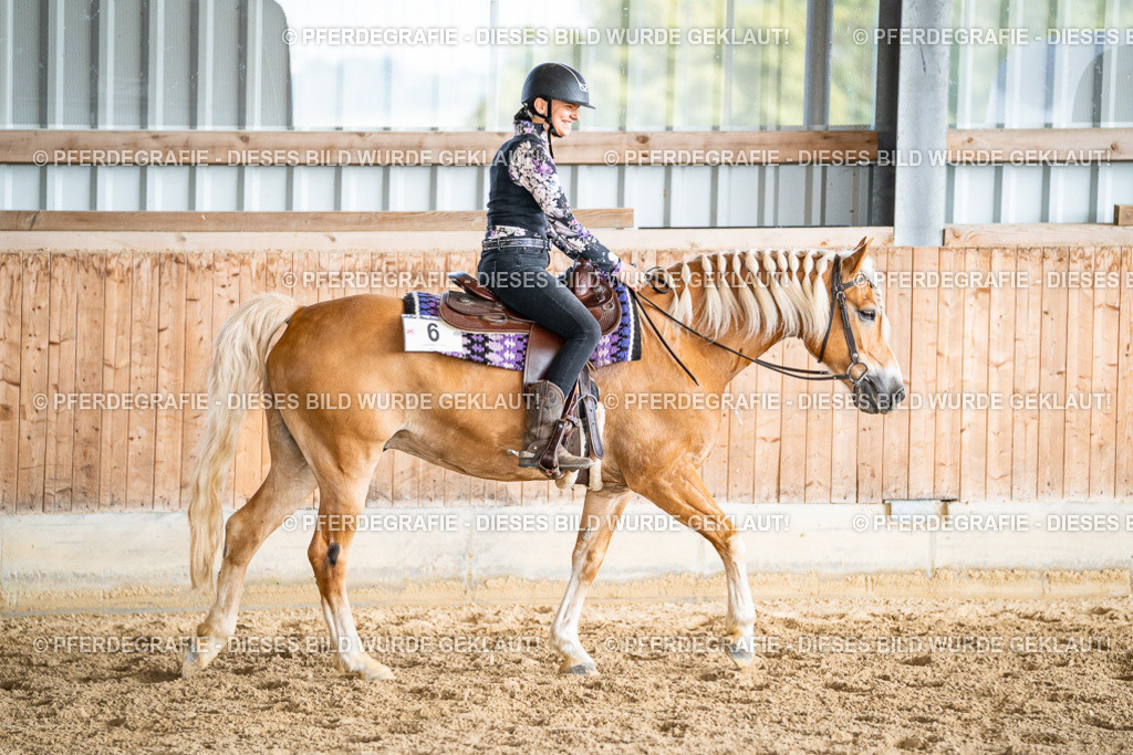 DSC09150 | Pferdegrafie