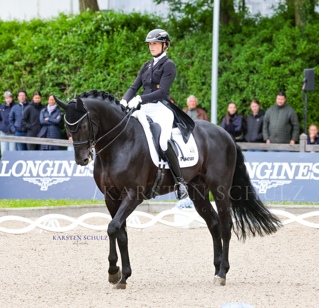 1B3A7284 | Reitsport Reiten