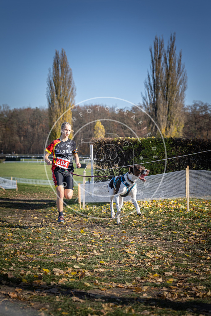 CaniXpix_DV3A9589 | Hundefotografie, Tierfotograf, Pfotenfotografie, Fotoshooting Hund, Hunde Portrait, Hundesport, Hundeportraits, Heideshooting, Hunde, Sportfotograf, Hundefotograf, Turnierhundsport, THS,  - Realisiert mit Pictrs.com