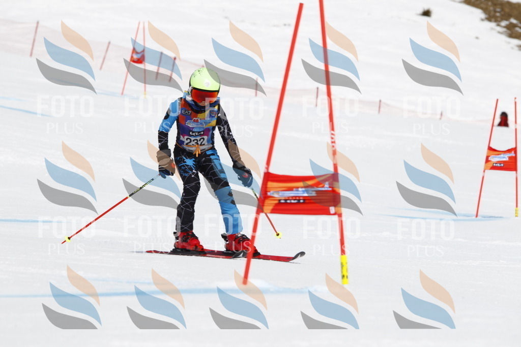 _U3G5969 | holidayphoto