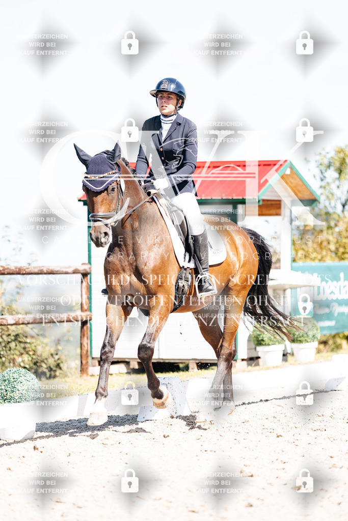 CK903945 | Turnierfotografie Pferdefotografie Trier Rheinland-Pfalz Pferdesport Reitsport Tierfotografie Sportfotografie Pferdevideo Pferdevideografie Equestrianvideography equestrianphotography  - Realisiert mit Pictrs.com