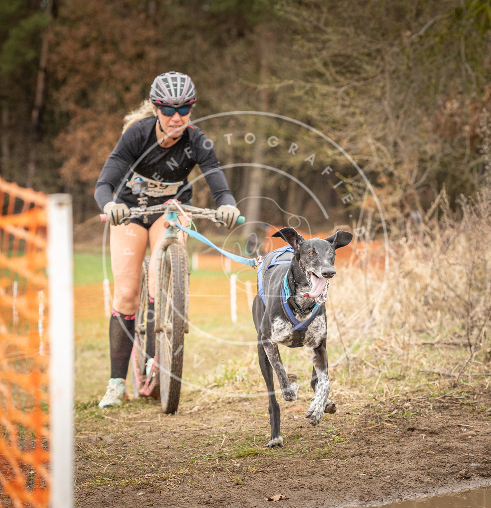 DV3A1734 | Hundefotografie, Tierfotograf, Pfotenfotografie, Fotoshooting Hund, Hunde Portrait, Hundesport, Hundeportraits, Heideshooting, Hunde, Sportfotograf, Hundefotograf, Turnierhundsport, THS,  - Realisiert mit Pictrs.com