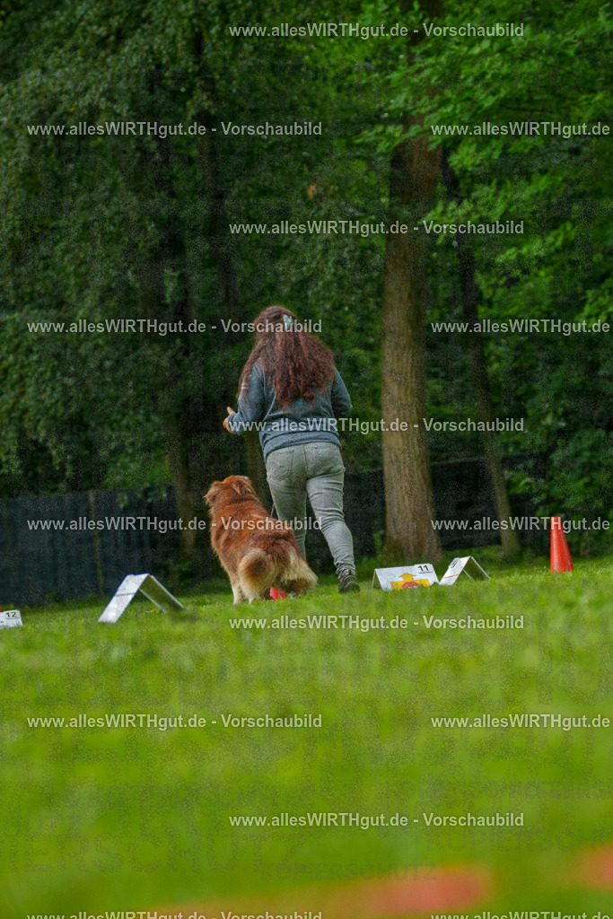 @allesWIRTHgut_Tierfotografie - www.allesWIRTHgut.de - 7R505141 | Professionelle Tierfotografie in Mönchengladbach von Daniel Wirth (allesWIRTHgut). Liebevolle & natürliche Bilder von Hunden & Katzen für unvergessliche Erinnerungen.