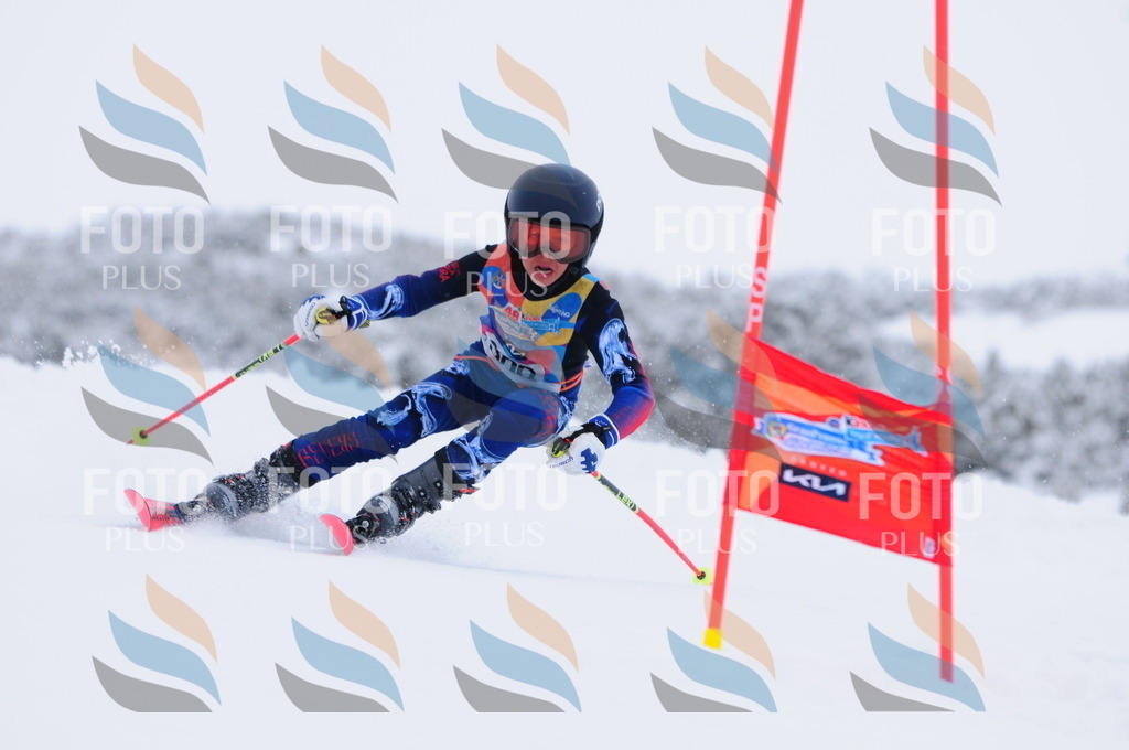 C3174 | holidayphoto