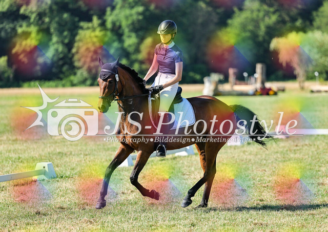 20260628_14a_VA_Dressur-149 | JS-Photostyle - Sport-/Portrait- & Eventfotografie