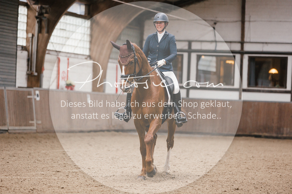 3I6A6182 | Stimmungsvolle Portraits und Reitsportfotografie im Ruhrgebiet und im Münsterland.

Pferdefotografie, Hundefotografie, Tierfotografie, Reportagen, Portraits von Tier und Mensch, Turnierfotografie in Bochum, Recklinghausen, Marl, Haltern am See, Dülmen.. - Realisiert mit Pictrs.com