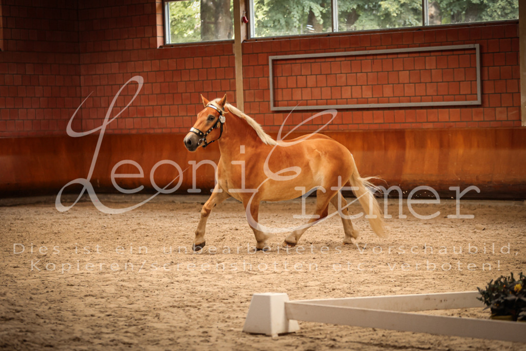 SaFL00272 | Leoni Ertmer Photography - Realisiert mit Pictrs.com