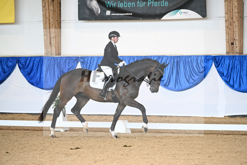 Kat-Nr. 22 Brunox_Hesse-Wadenspanner_14242160 | hf-fotografie - Realizzato con Pictrs.com