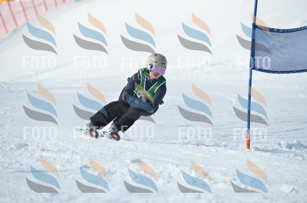 D8923 | holidayphoto