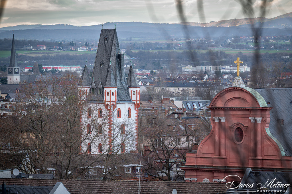 Der Mainzer Holzturm | Der Mainzer Holzturm