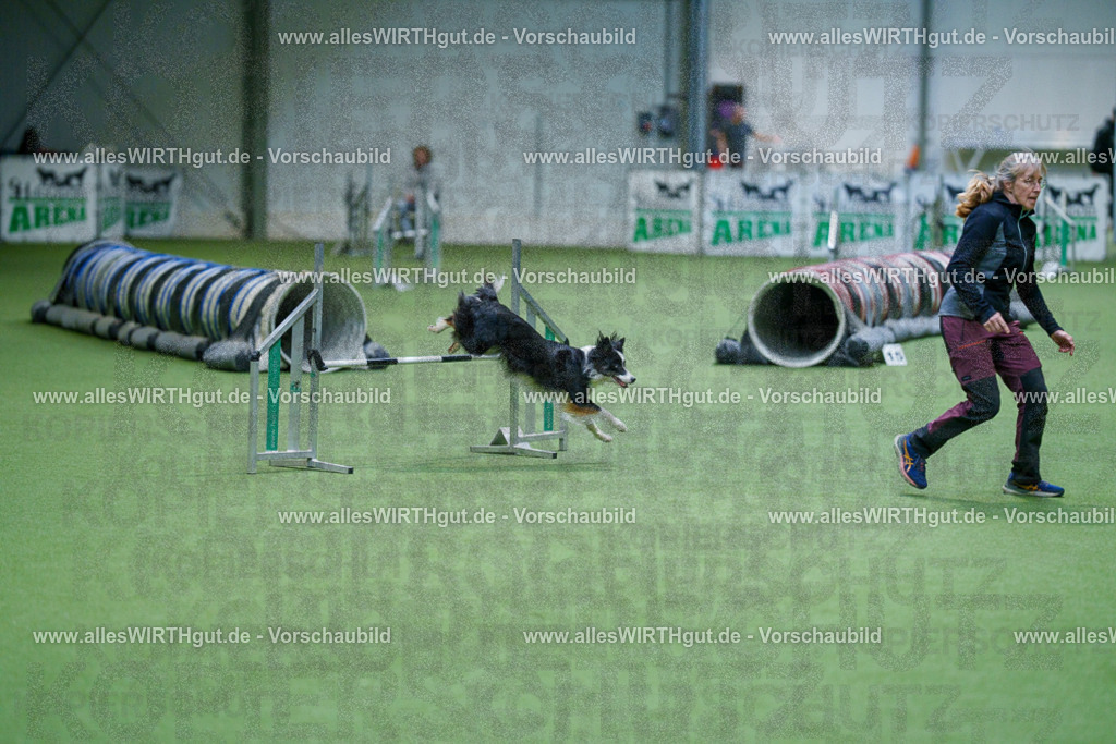 @allesWIRTHgut_Tierfotografie - www.allesWIRTHgut.de - 2604250939-7R508673 | Professionelle Tierfotografie in Mönchengladbach von Daniel Wirth (allesWIRTHgut). Liebevolle & natürliche Bilder von Hunden & Katzen für unvergessliche Erinnerungen.