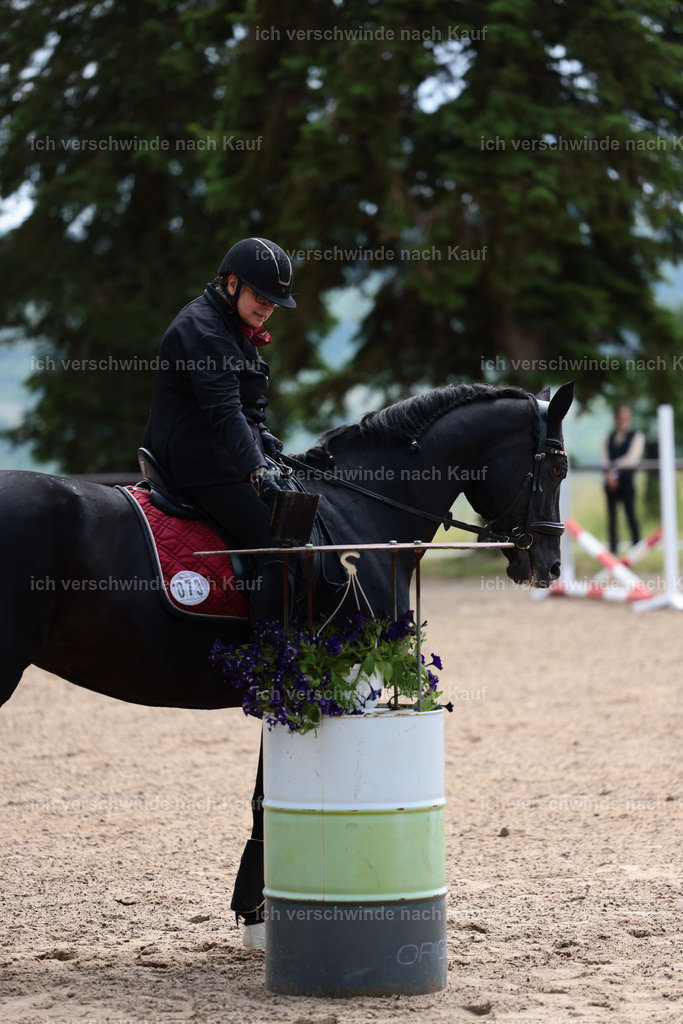 KlasseE_Stoibphotography_CAM22228.JPG | working equitationturnier fotograf videograf stoibphotography marixx film working equitation deutschland reitsport turnierfotografie eventfotografie equestrian events