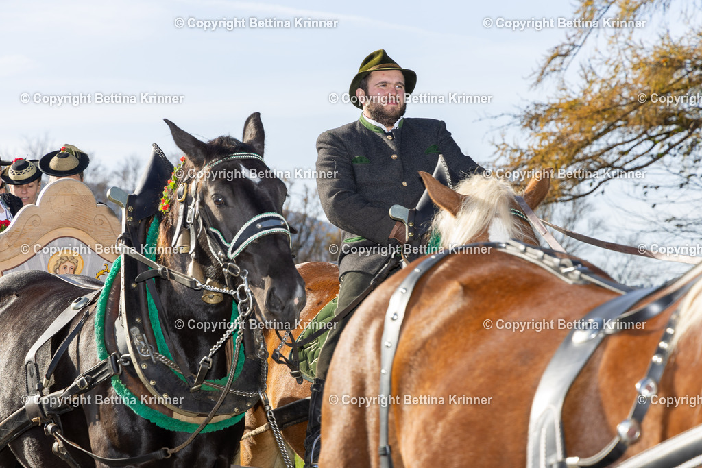 LBT24-1316 | foto-bettina-krinner - Realisiert mit Pictrs.com