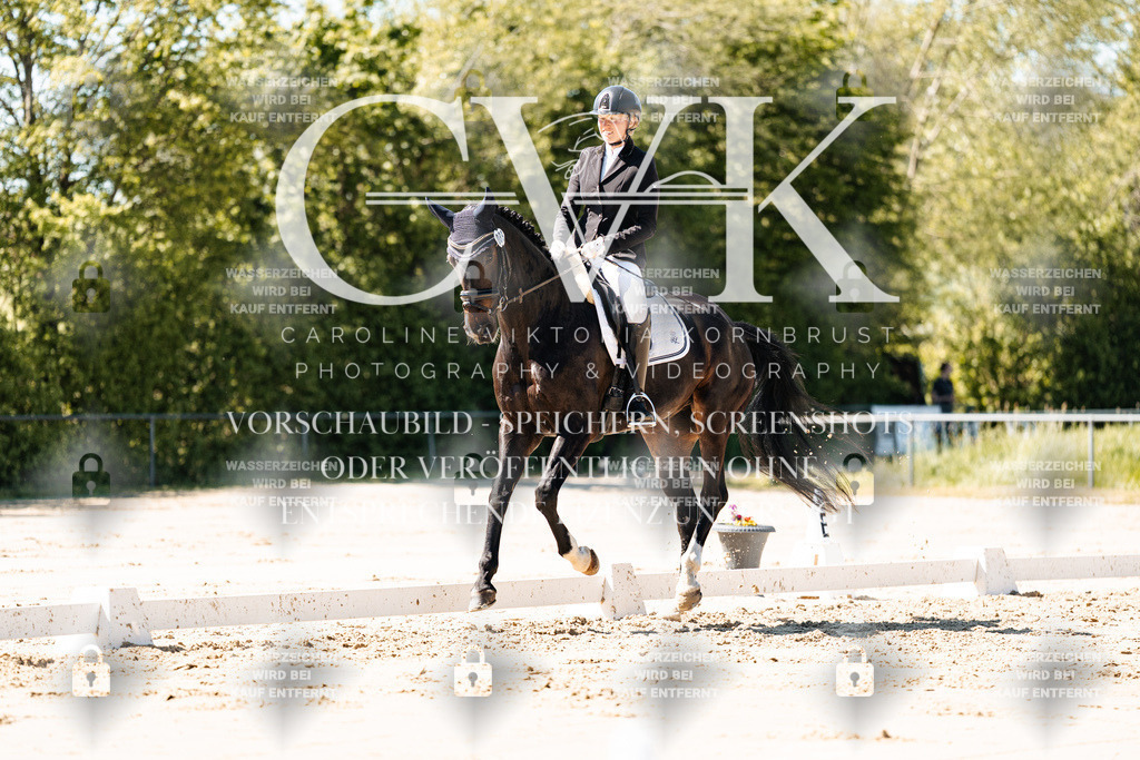 CK905084 | Turnierfotografie Pferdefotografie Trier Rheinland-Pfalz Pferdesport Reitsport Tierfotografie Sportfotografie Pferdevideo Pferdevideografie Equestrianvideography equestrianphotography  - Realisiert mit Pictrs.com