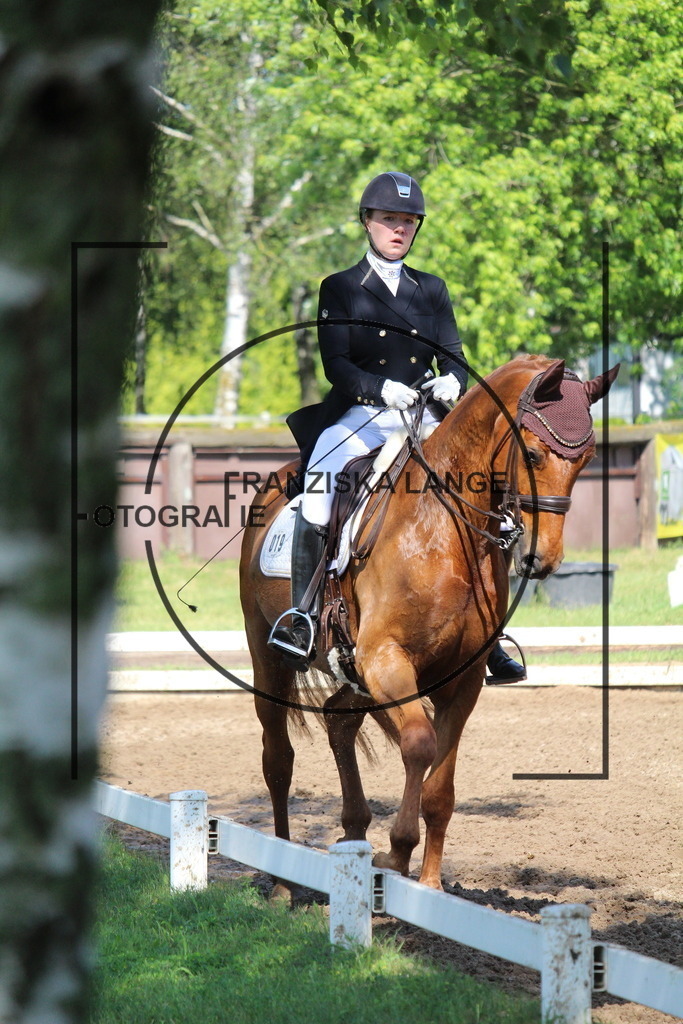 IMG_6994 | franziskalange - Realisiert mit Pictrs.com