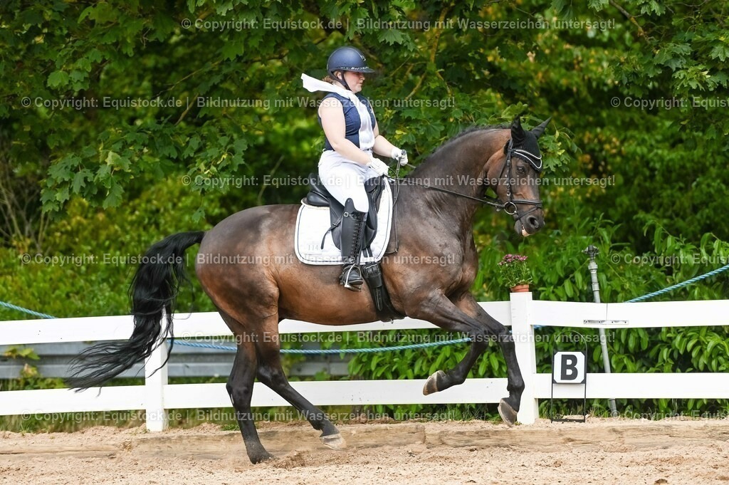 20230715_02_Dressurreiterprüfung Kl.L_0384 | equistock