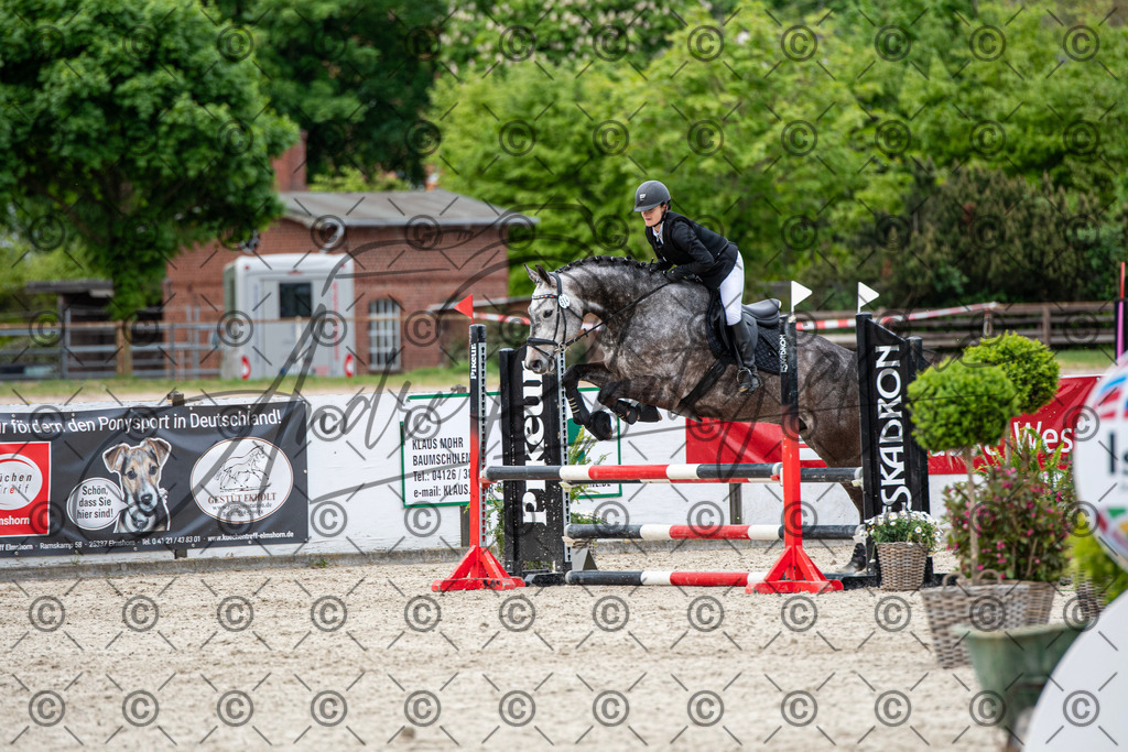 KPT_7274 | andre_photographic