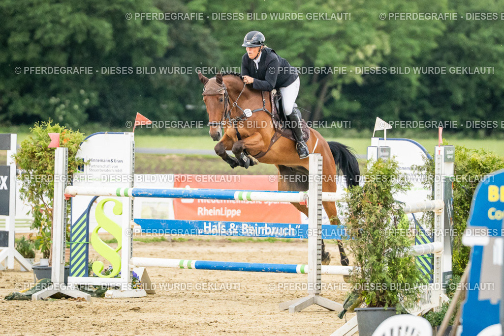 DSC07035 | Pferdegrafie