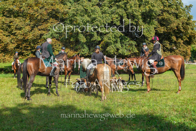 Jagd Perdoel_MarinaHewigDSCF3917 | Fotografie, FotoArt, PferdesportArt, Pferdesportfotografie, Landschaftsfotografie, Reisefotografie, Reise, Pferde - Realisiert mit Pictrs.com