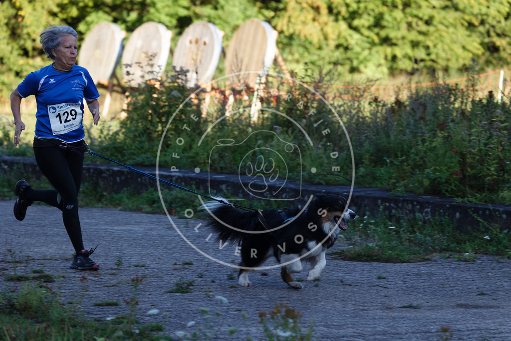 0L8A4777 | Hundefotografie, Tierfotograf, Pfotenfotografie, Fotoshooting Hund, Hunde Portrait, Hundesport, Hundeportraits, Heideshooting, Hunde, Sportfotograf, Hundefotograf, Turnierhundsport, THS,  - Realisiert mit Pictrs.com