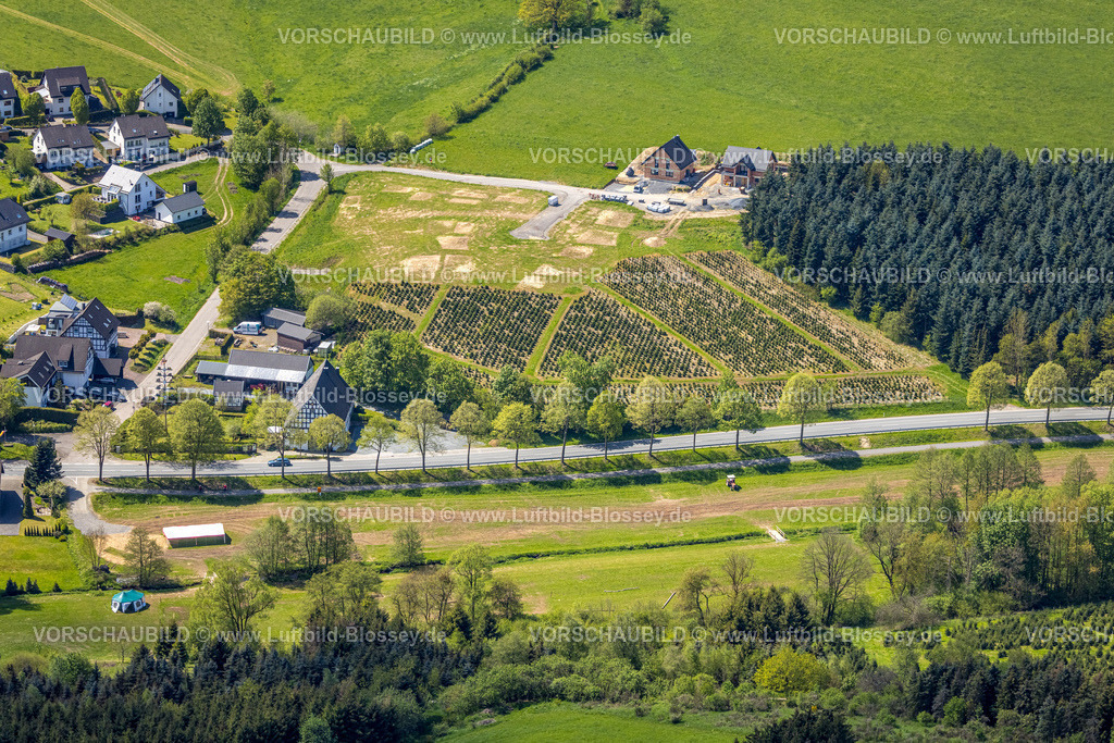 Eslohe230505864 | Luftbild, Weihnachtsbaumplantage, Olper Straße, Stertschultenhof, Cobbenrode, Eslohe, Sauerland, Nordrhein-Westfalen, Deutschland