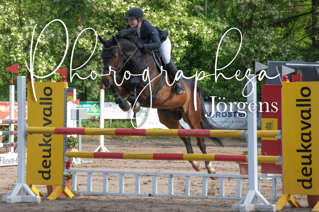 IMG_9066 | photographesa-joergens - Realisiert mit Pictrs.com