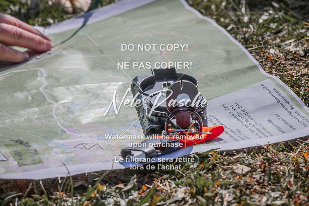 NR__0072 | nelerasche
