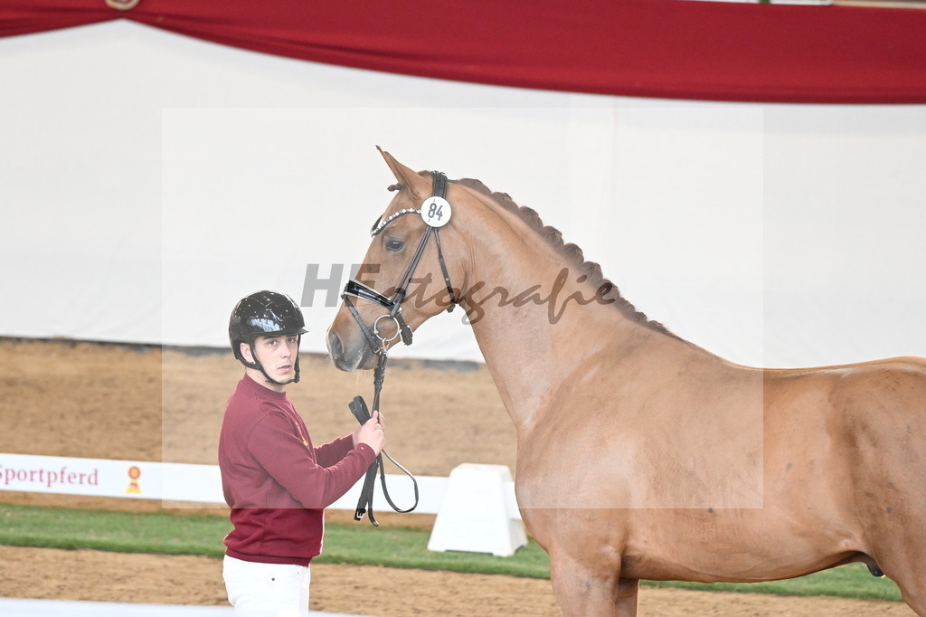 Kat.-Nr. 84 v. Vaderland_van den Oetelaar_2250803 | hf-fotografie - Realisiert mit Pictrs.com