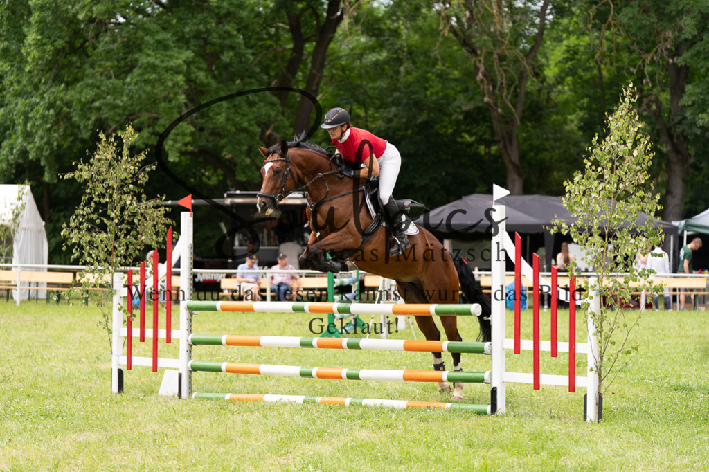 A7500768 | Turnier/Reitfotograf